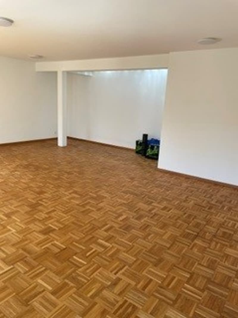 Bright studio in prime location in Fällanden for rent (3)