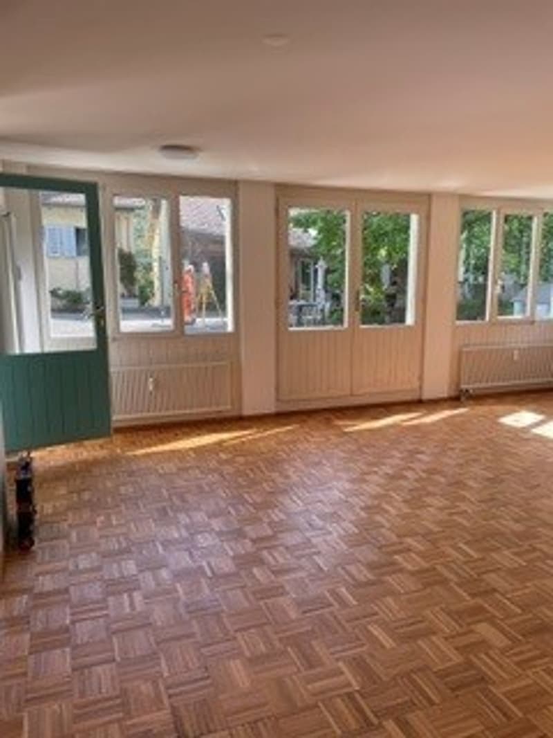 Bright studio in prime location in Fällanden for rent (2)