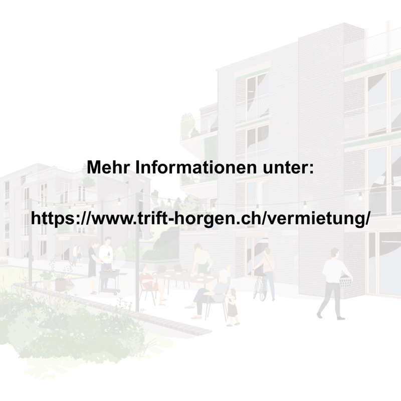 3 ½ Zimmer-Wohnung, 8810 Horgen (7)