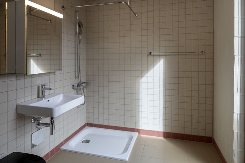 3 ½ Zimmer-Wohnung, 8810 Horgen (3)