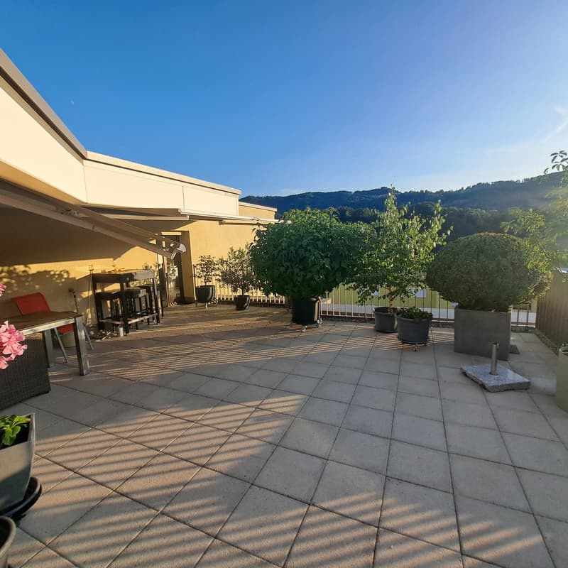 Appartement 4.5 pièces avec terrasse ensoleillée sur le toit et vue sur la verdure (11)