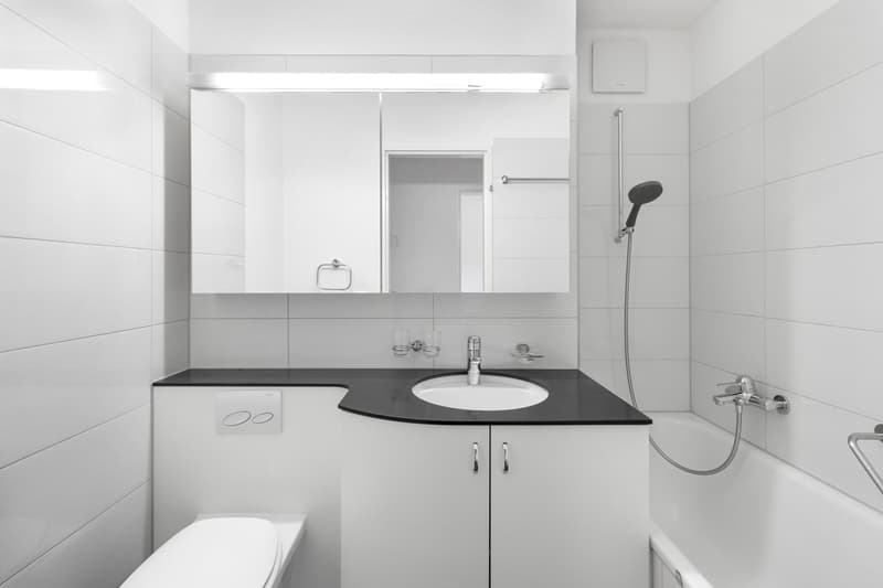 Appartement 4.5 pièces avec terrasse ensoleillée sur le toit et vue sur la verdure (9)