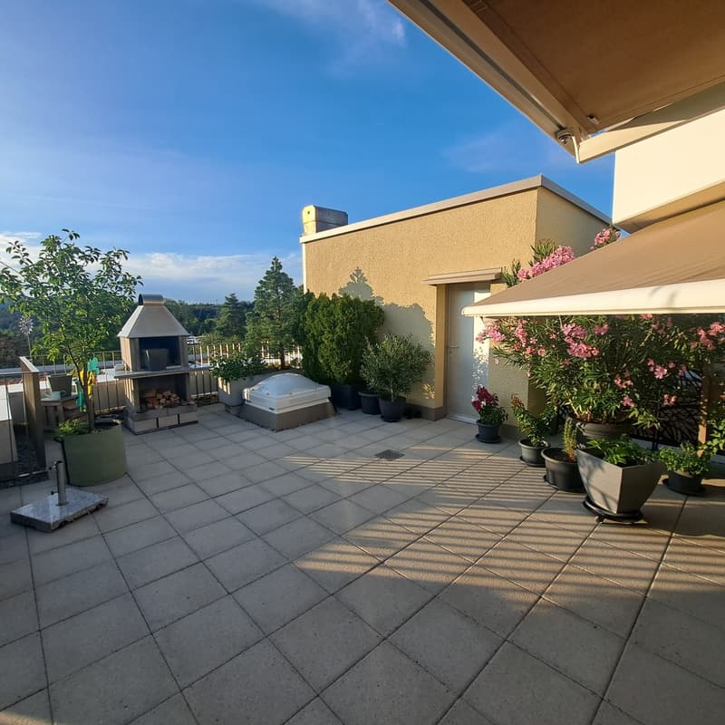 Appartement 4.5 pièces avec terrasse ensoleillée sur le toit et vue sur la verdure (10)