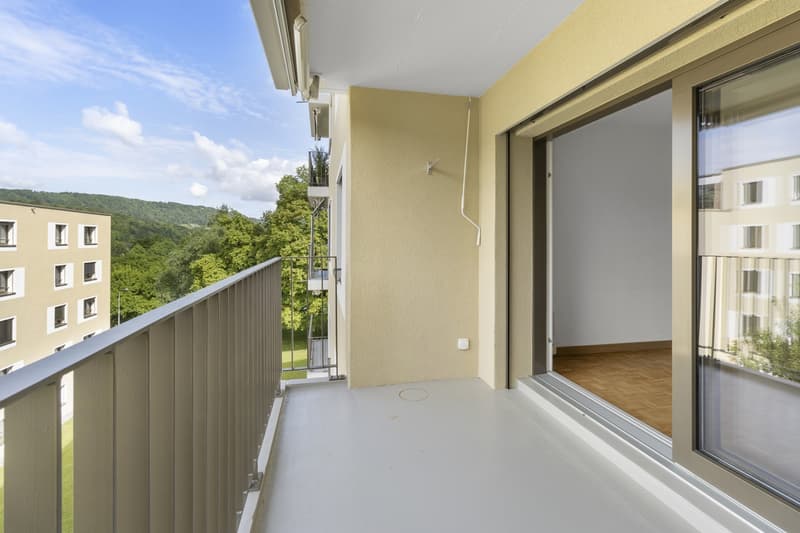 Appartement 1.5 pièces avec balcon ensoleillé et vue sur le verdure (5)