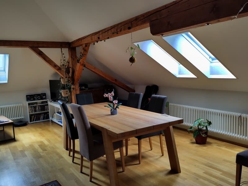 Charmante 3.5-Zimmer-Dachwohnung an zentraler Lage in Zürich (7)