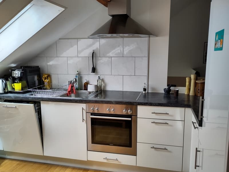 Charmante 3.5-Zimmer-Dachwohnung an zentraler Lage in Zürich (2)