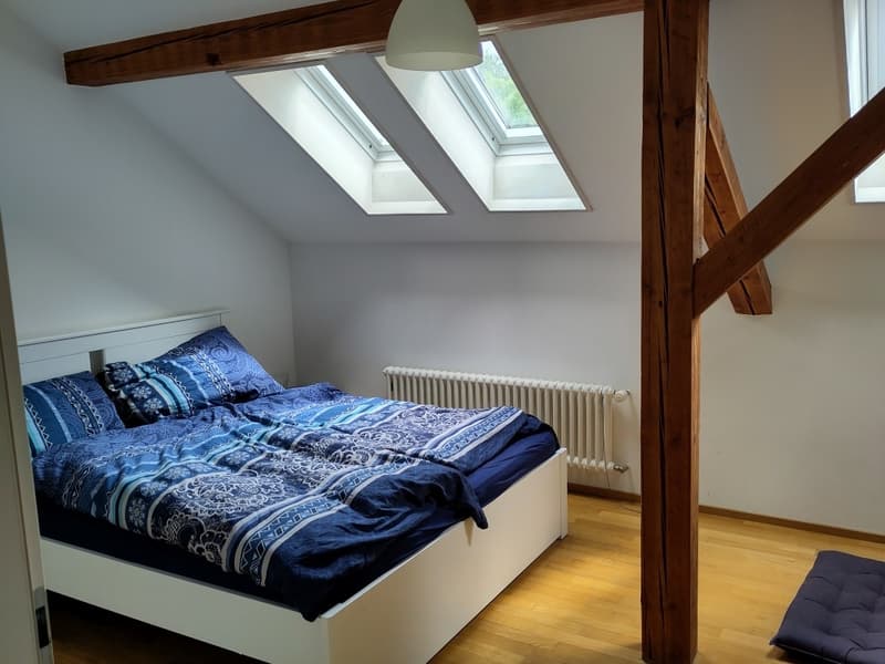 Charmante 3.5-Zimmer-Dachwohnung an zentraler Lage in Zürich (3)