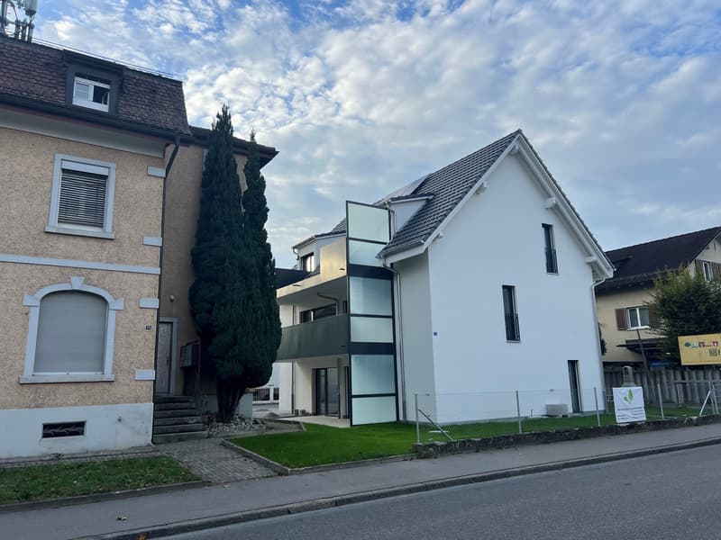 moderne Wohnung in Schlieren (1)
