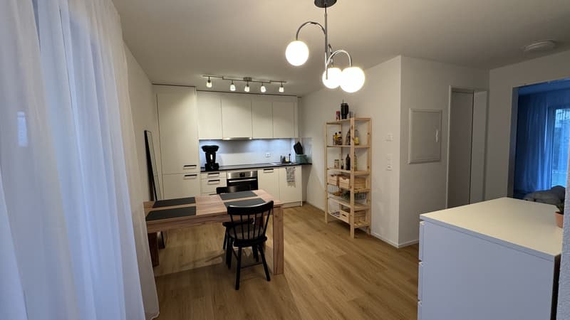 moderne Wohnung in Schlieren (3)