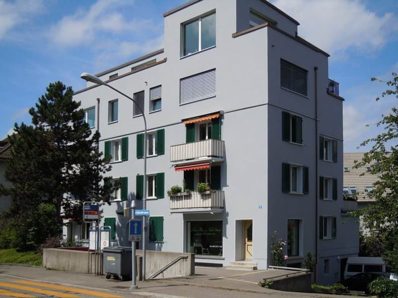 Aussenparkplätze an der Berninastrasse 2 in Zürich zu vermieten (1)