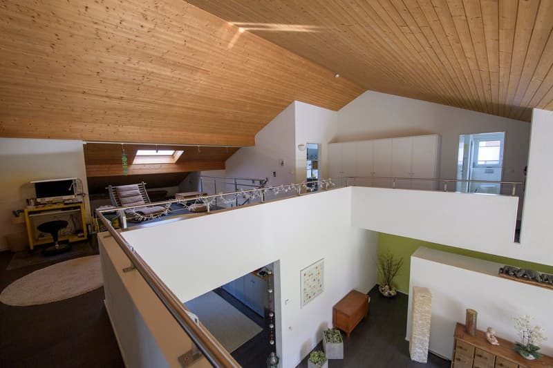 Open floor plan, wooden ceiling, balcony, white walls, modern furniture, plants, rug, desk, monitor, cabinets, wooden chest