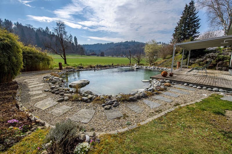 A garden with a small pond, surrounded by rocks and stones, with a wooden deck and a lounge chair. The garden is surrounded by grass and plants, with a view of a green field and mountains in the distance.