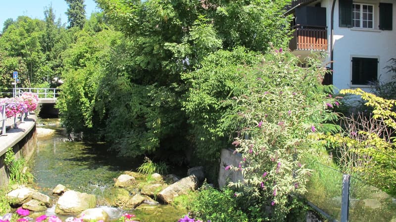 Bachlauf vor dem Sitzplatz