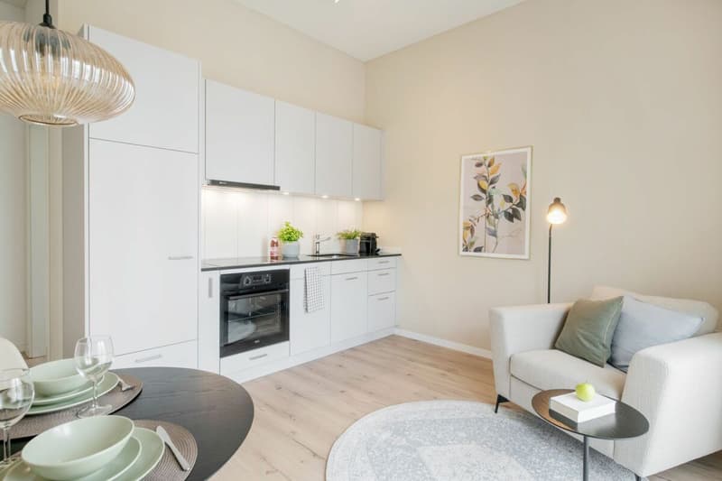 HOTELSUITE Sternenmatte (6)