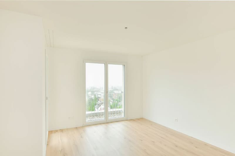 Traumhafte Aussicht I 3.5-Zimmer-Attikawohnung (10)
