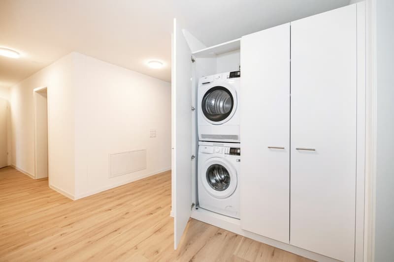 Newly built 4.5-room apartment (3)