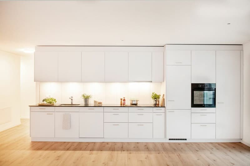 Newly built 4.5-room apartment (2)