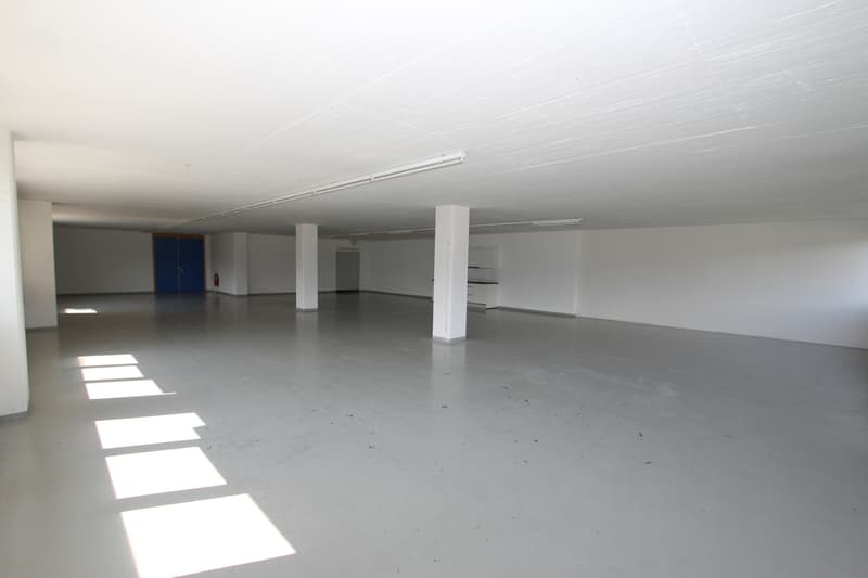 Attraktive Büro- / Gewerberäume (5)
