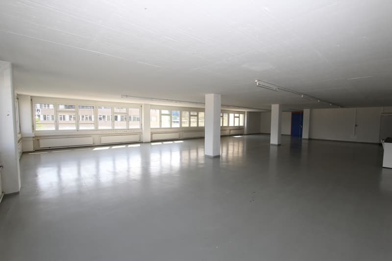 Attraktive Büro- / Gewerberäume (4)