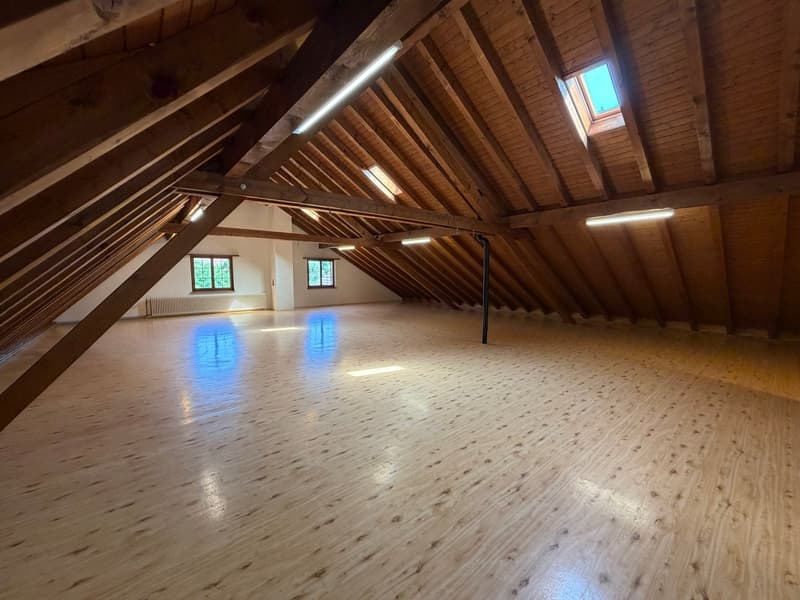 Grosszügiger Atelier- und Gewerberaum im Dachgeschoss (1)
