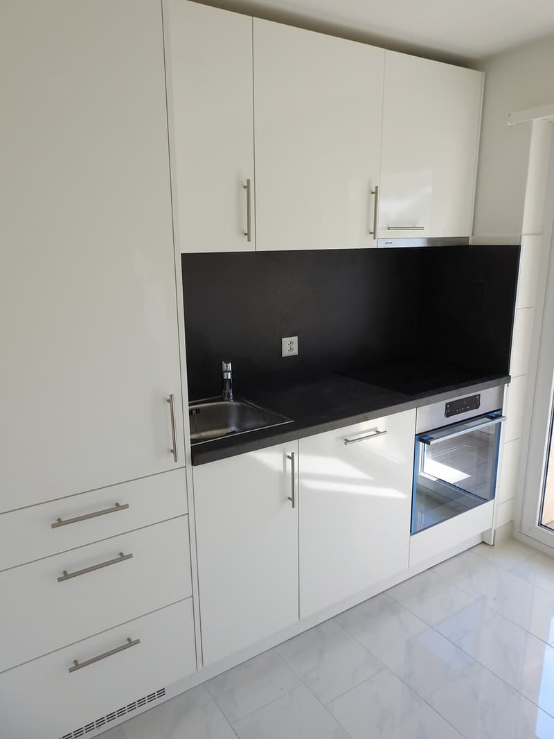 moderne Küche mit Glaskeramikherd, Geschirrspüler, Backofen etc.