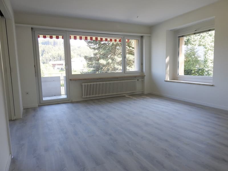 grosszügiges Wohnzimmer mit Laminat