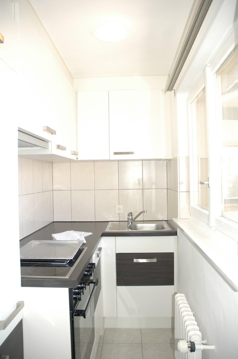 Appartamento moderno di 2 camere in posizione centrale con balcone (2)