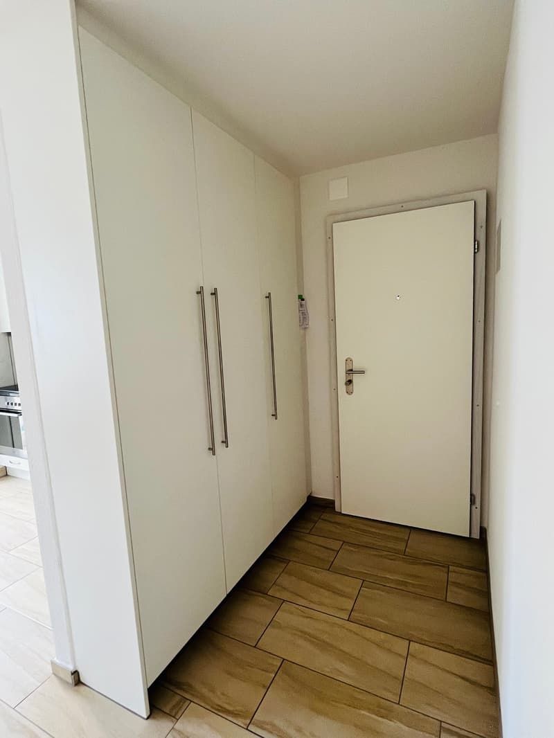 Empty hallway with white walls, wooden floor, white cabinet, white door