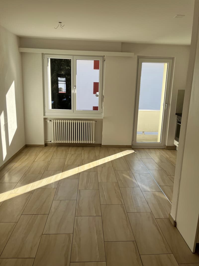 empty room, wooden floor, two windows, balcony