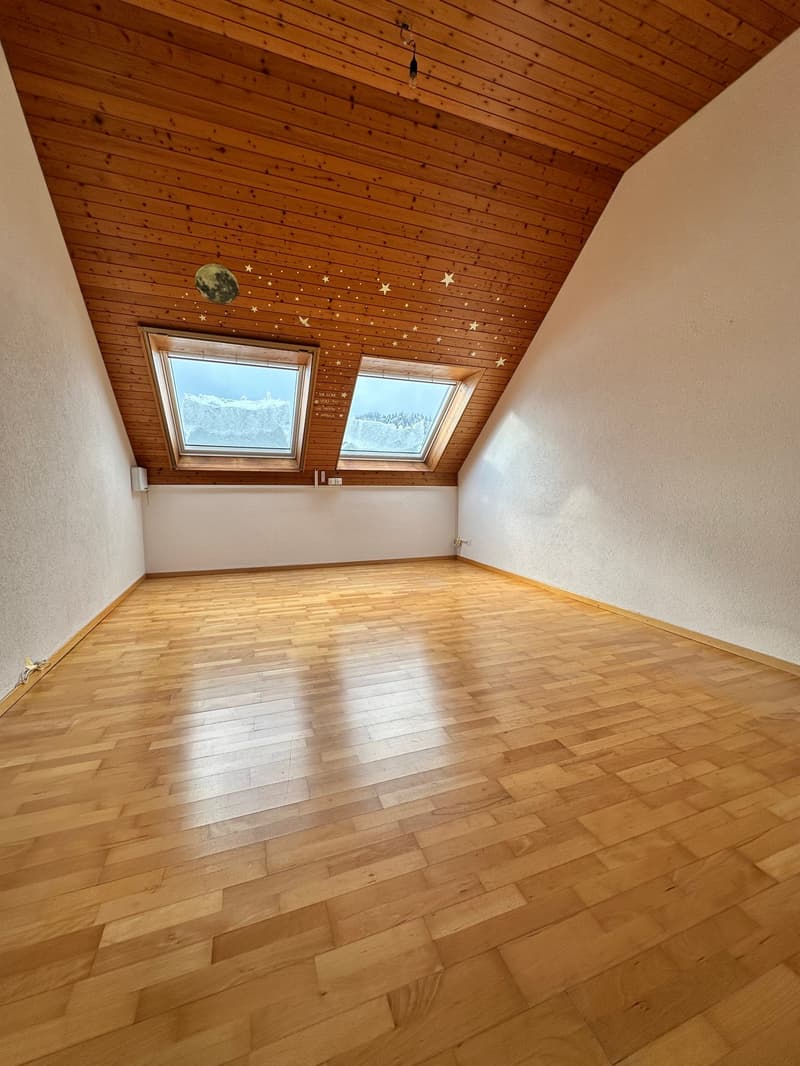 grosse 4.5-Zimmer-Dachwohnung mit eigenem Waschturm und Lift (4)