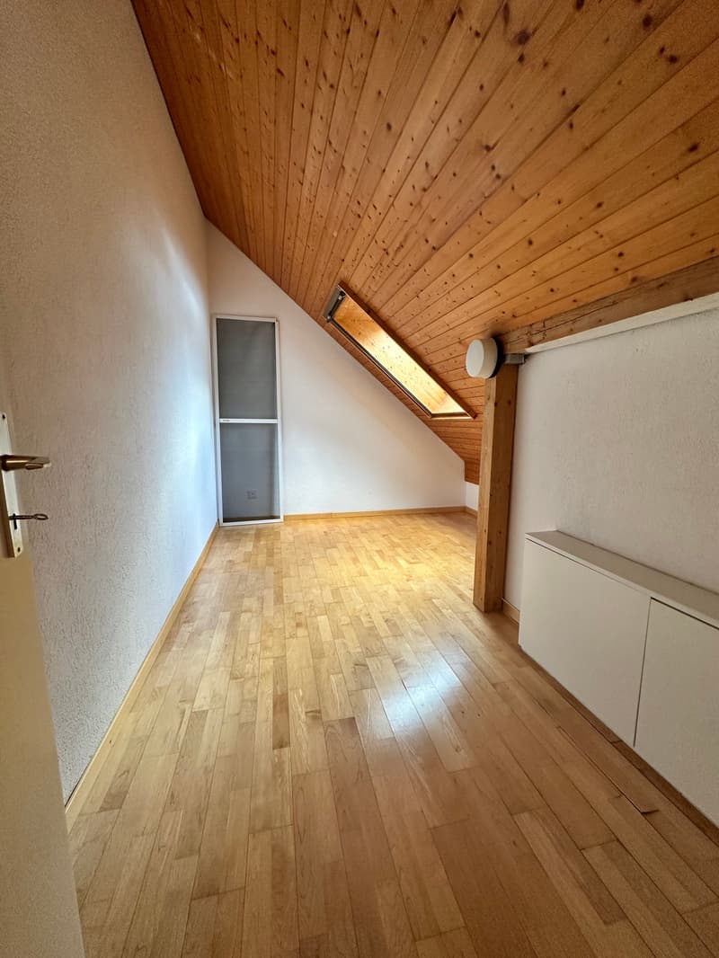 grosse 4.5-Zimmer-Dachwohnung mit eigenem Waschturm und Lift (6)