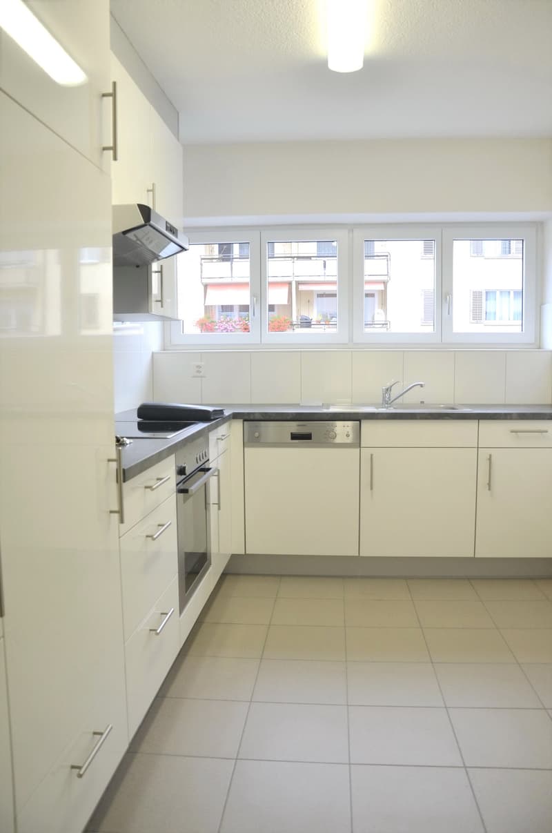 moderne Küche mit Geschirrspüler und Fenster