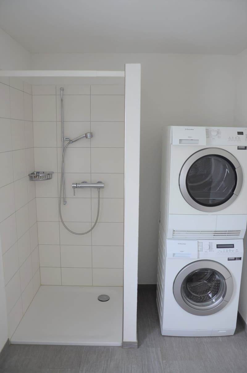 moderne Dusche/Bad/WC mit Waschturm