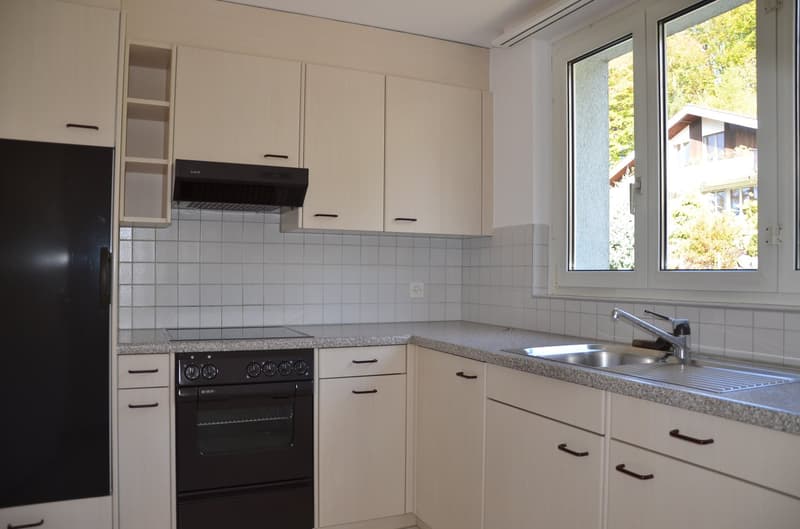 Ampio appartamento di 4.0 locali con ampio balcone in posizione soleggiata (2)