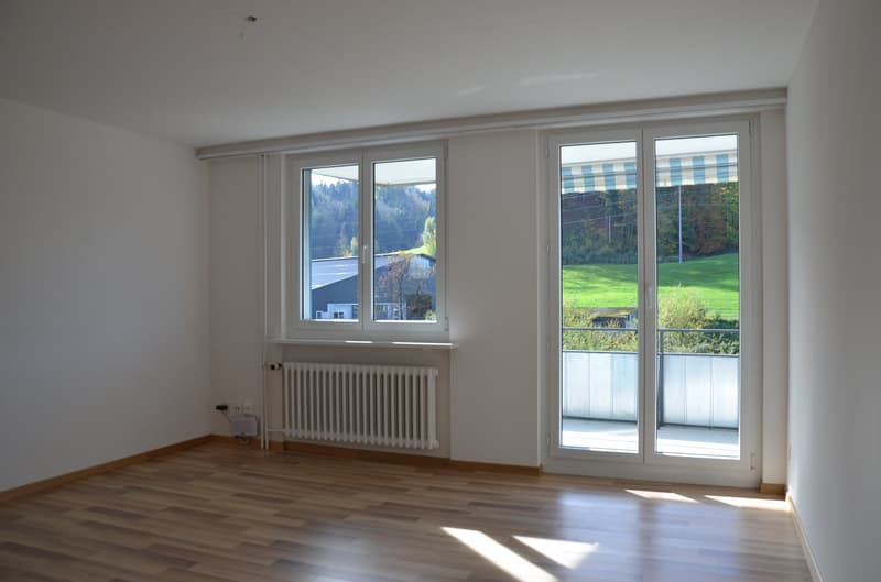 Ampio appartamento di 4.0 locali con ampio balcone in posizione soleggiata (4)