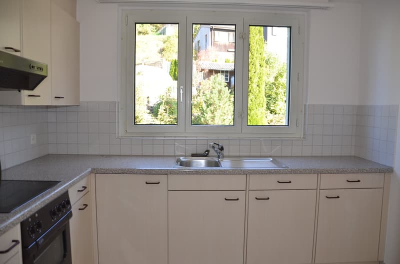 Ampio appartamento di 4.0 locali con ampio balcone in posizione soleggiata (3)