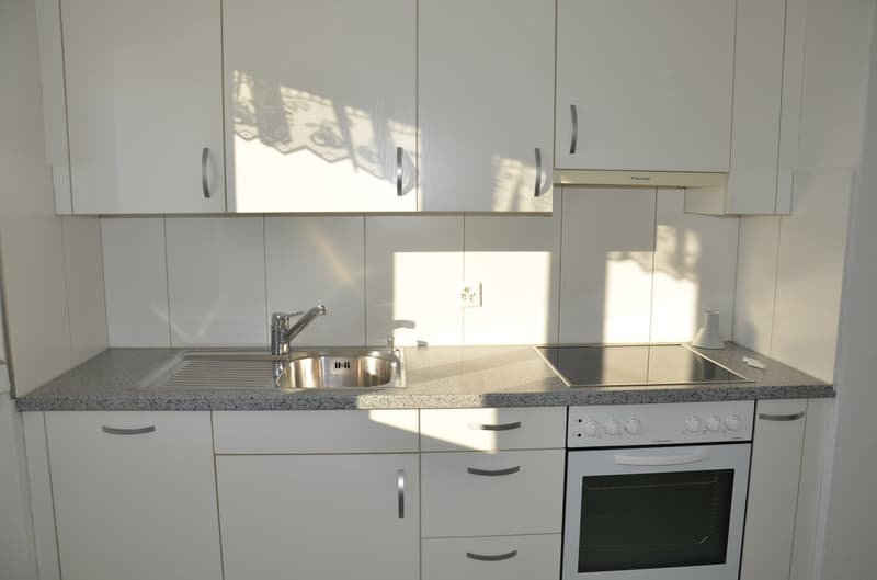appartement 3.5 pièces entretenu avec balcon près de la gare (3)