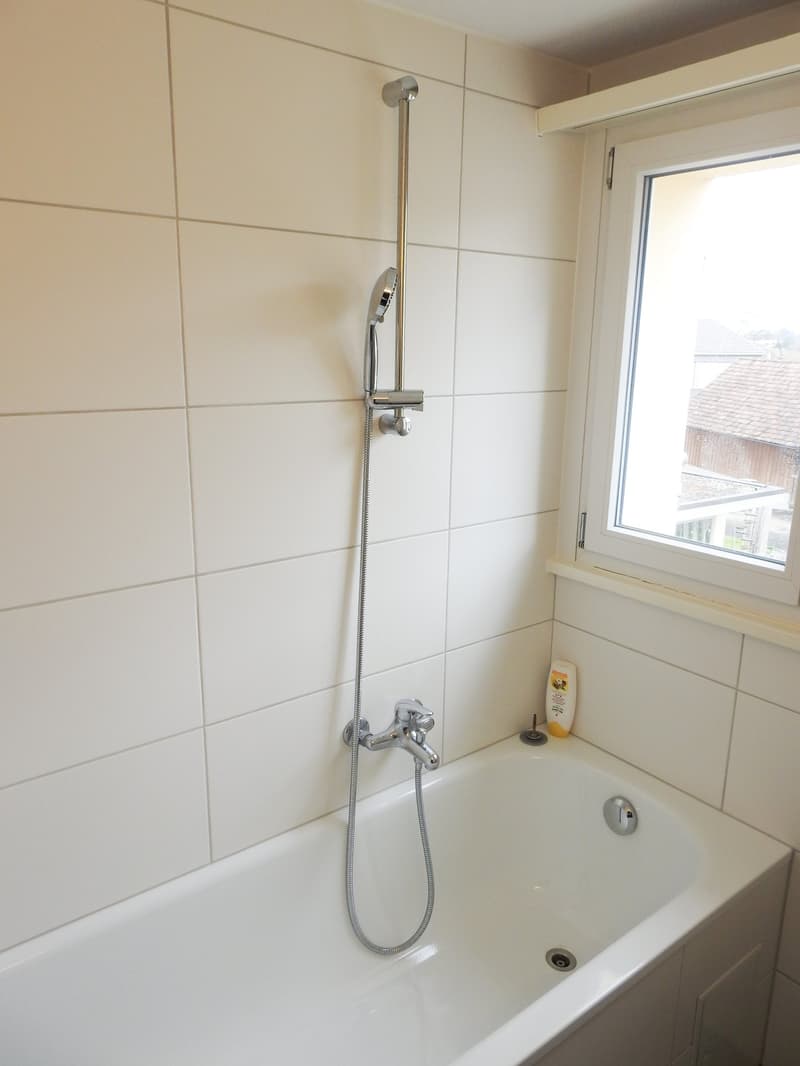 Appartement lumineux et moderne de 1,5 pièces en centre-ville (6)