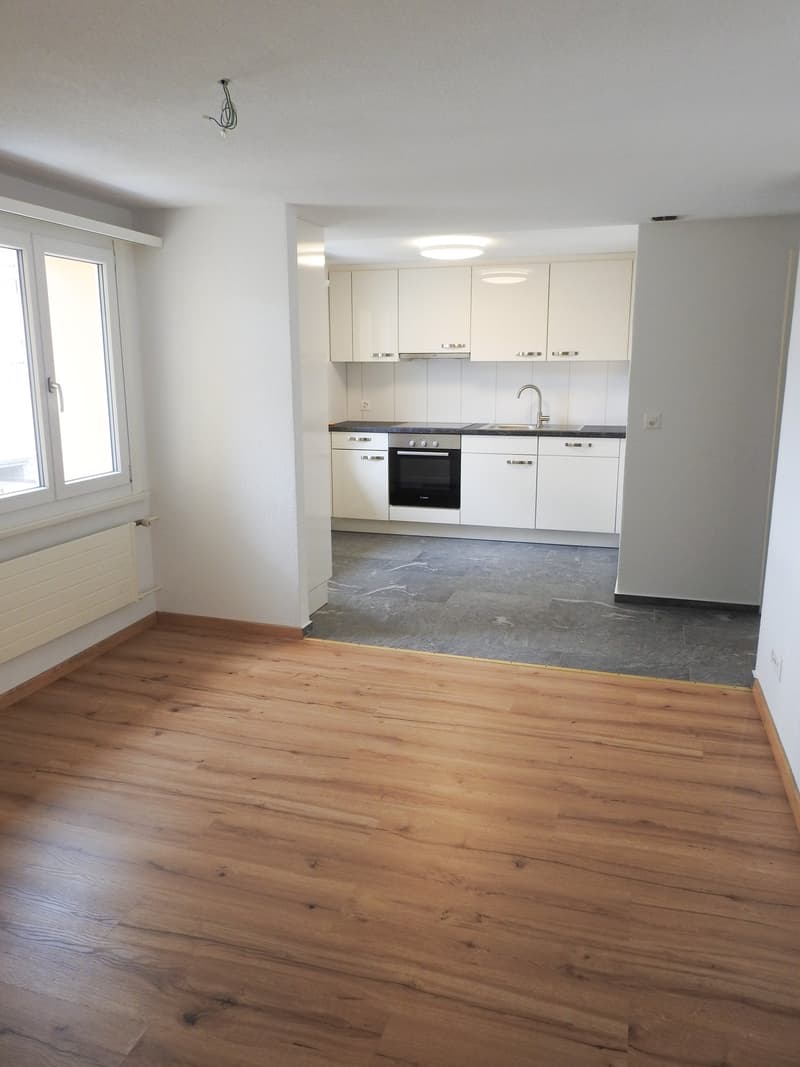 Appartement lumineux et moderne de 1,5 pièces en centre-ville (4)