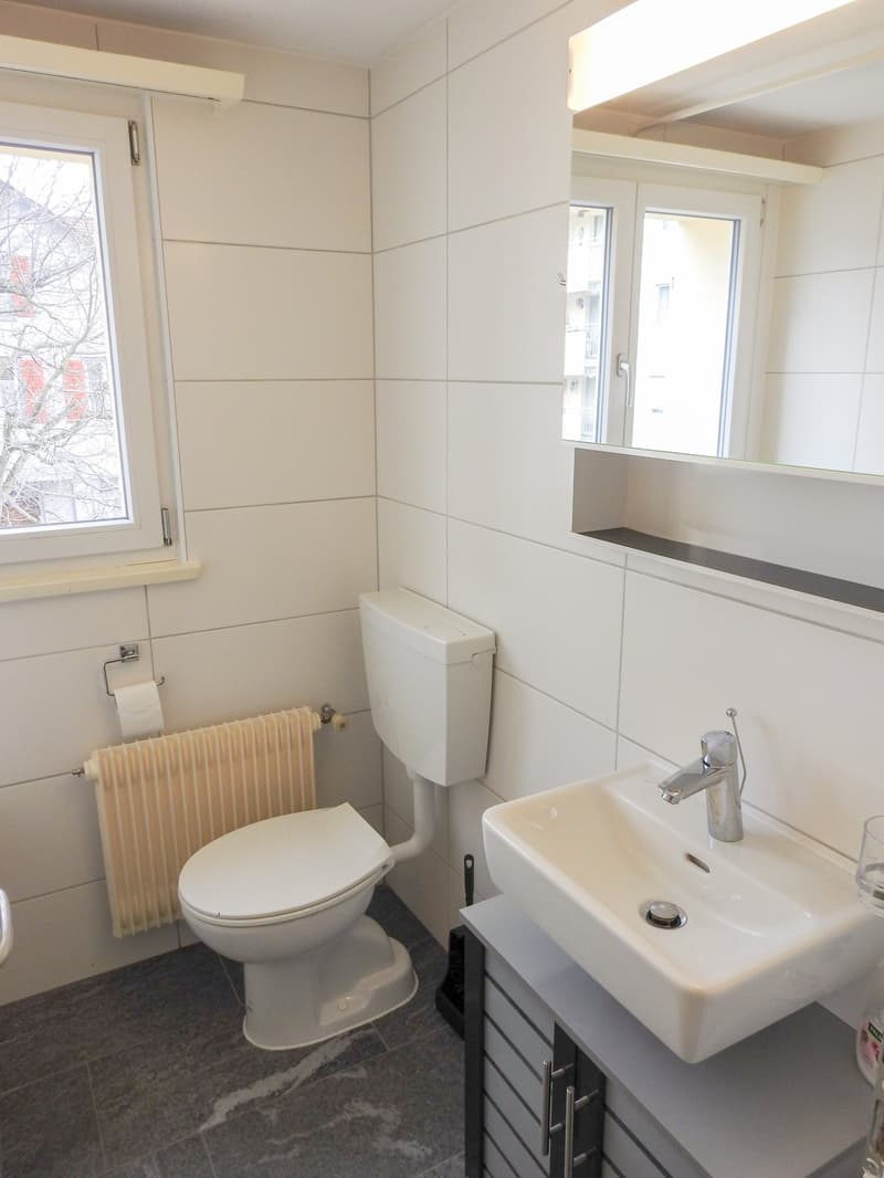 Appartement lumineux et moderne de 1,5 pièces en centre-ville (5)