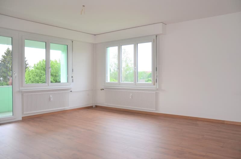 Ampio appartamento moderno di 3,5 locali in una zona tranquilla (6)