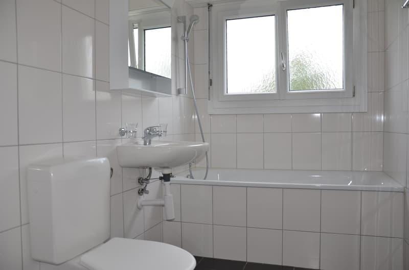 Ampio appartamento moderno di 3,5 locali in una zona tranquilla (3)