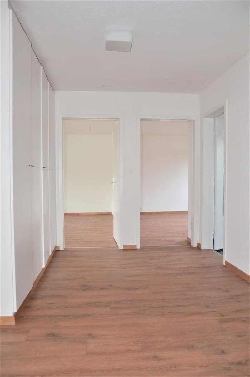 Ampio appartamento moderno di 3,5 locali in una zona tranquilla (5)