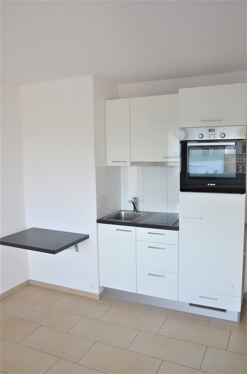 appartamento moderno 1.5 locali con balcone e ascensore nella casa in posizione centrale (3)