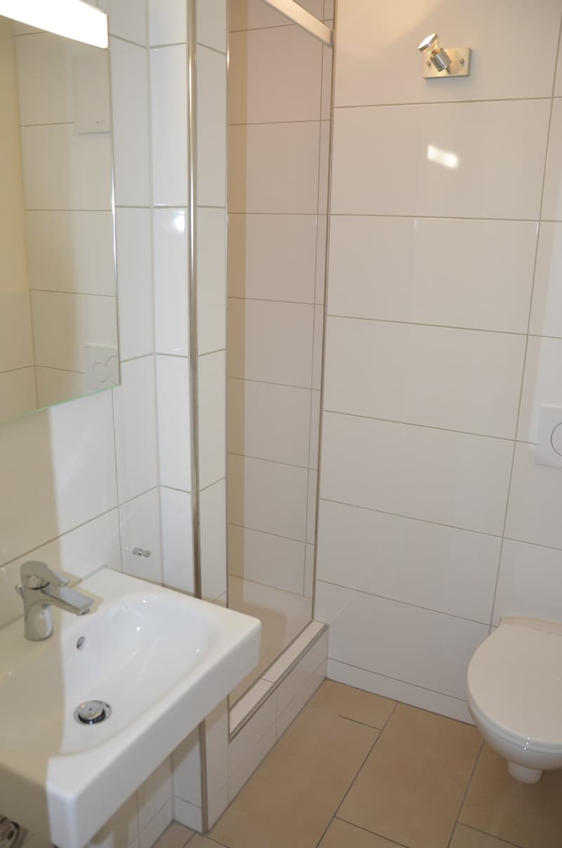 appartamento moderno 1.5 locali con balcone e ascensore nella casa in posizione centrale (4)