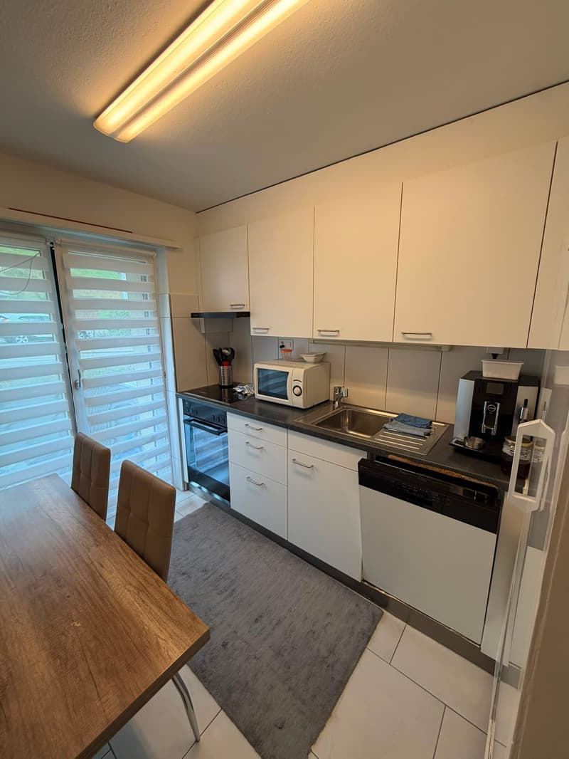 Modern 4-room apartment with two balconies (2)