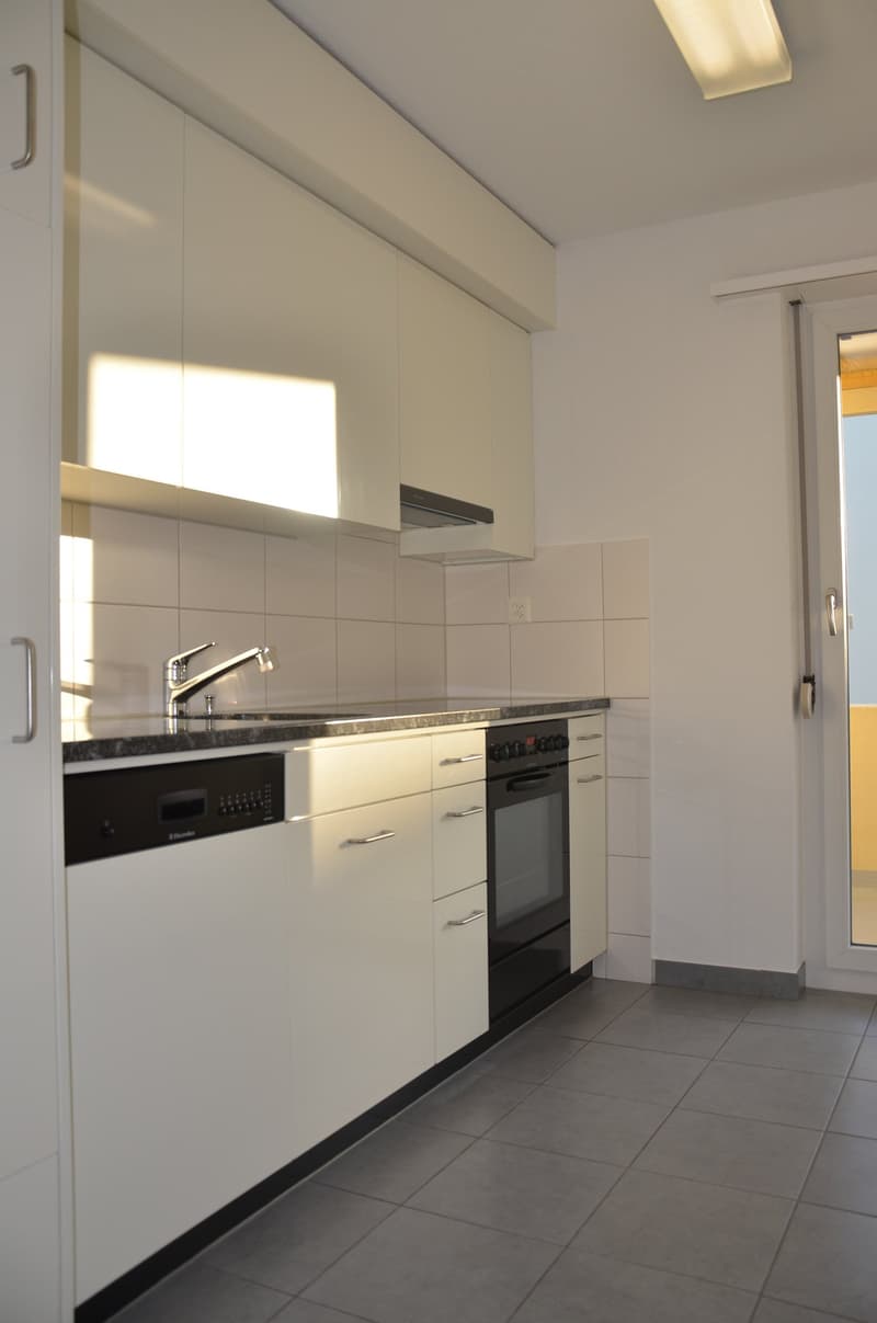 moderne Küche mit Granitabdeckung, Geschirrspüler, Backofen, etc.