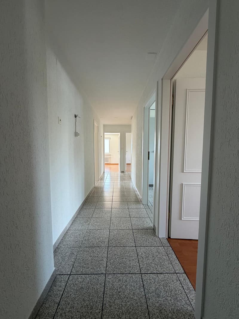 Appartement 4.5 pièces spacieux dans un quartier calme (9)