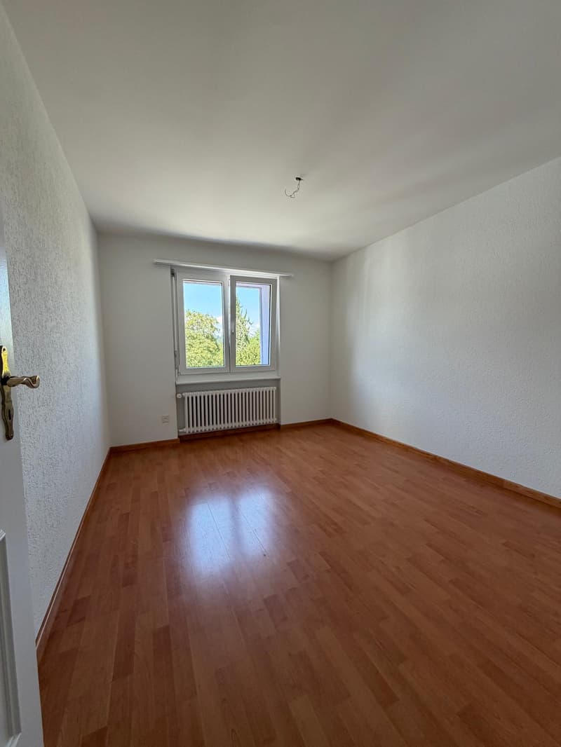 Appartement 4.5 pièces spacieux dans un quartier calme (5)