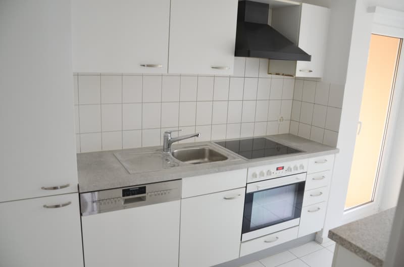 moderne Küche mit Geschirrspüler und Glaskeramikherd